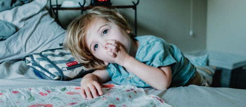 Kyle Nieber 762833 Unsplash (1)