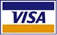 Payment Options Visa@2x 1